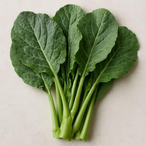 Brassica oleracea var. alboglabra