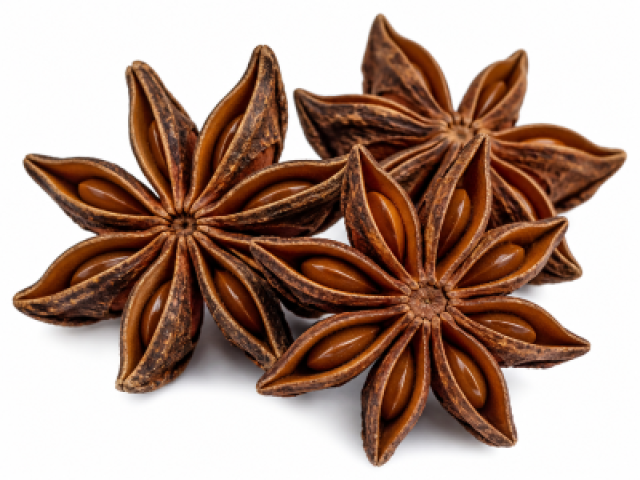 Illicium verum