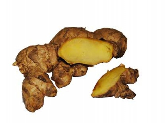Zingiber officinale